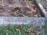 image number Stog205